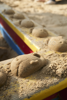 Vertical shot of sand animals in the sandbox