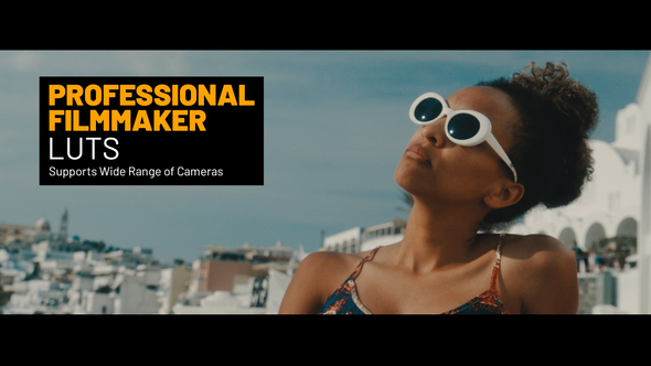Professional Filmmaker Color LUTs alt