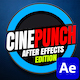 CINEPUNCH - After Effects & Premiere Pro Plugins & Effects Pack - VideoHive Item for Sale
