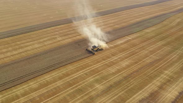 Harvester Harvests Wheat Crop On Field