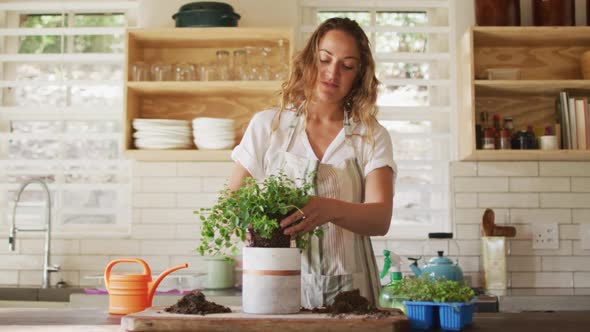 Smiling caucasian woman potting plants standing in cottage kitchen