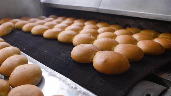 Bread Comes Out of the Oven in Closeup on a Conveyor Belt and is Sprayed with Water to Add Gloss and