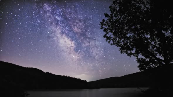 Milky Way And Stars In The Night Sky Over A Mountain Lake And A Tree Silhouette