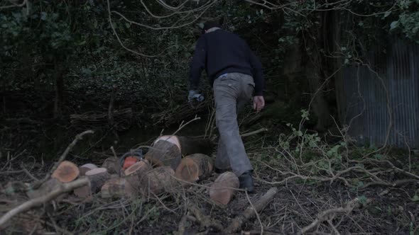 Man walks to continue cutting felled tree 4K