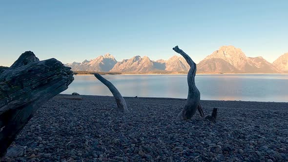 Walking over rocky beach on Jackson Lake past driftwood