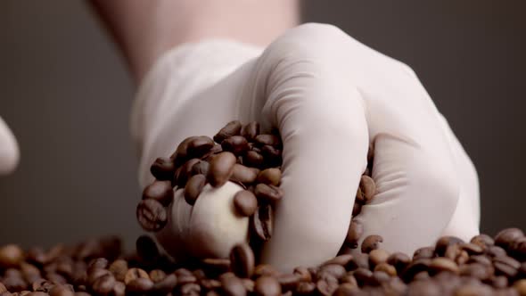 Hands Taking Coffee Seeds Closeup