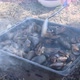 Seafood Mussels in Shells Cooking Outdoor on Barbecue Mangal with Fire and Steam - VideoHive Item for Sale
