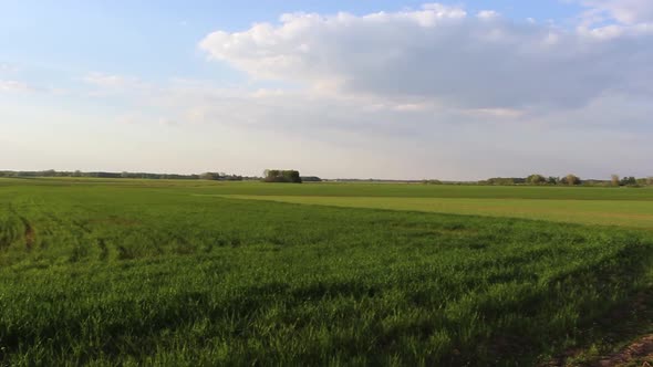 Agriculture fields, country side view