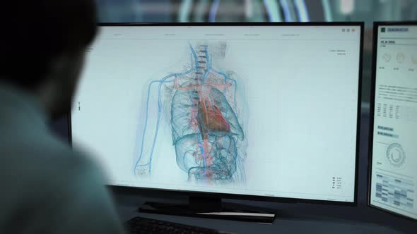 Doctor is examining the health of a patient with an organ diagnostic scanner