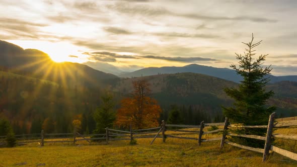 The Mountain Forest on the Background of the Sunset