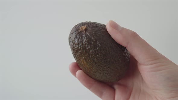 Hand Holding Fresh Ripe Juicy Avocado on a White Background