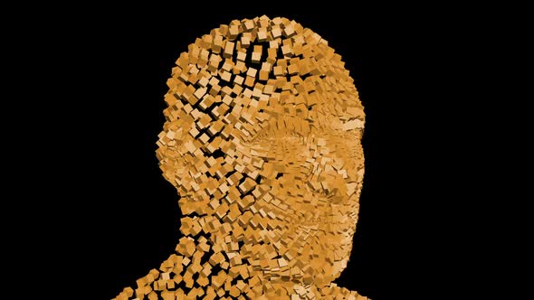 Human Head From Rotating Cubes