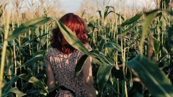 Beautiful Woman Walking on a Sunny Corn Field