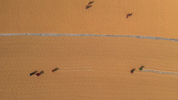 Aerial view of peasants working in a paddy field Dhaka province, Bangladesh.