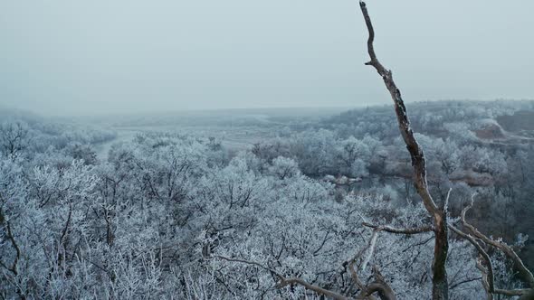 Aerial view of winter forest. Aerial view of winter woodlands during a flight at frosty day