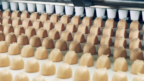 Industrial Production and Transportation of Fudge Candies