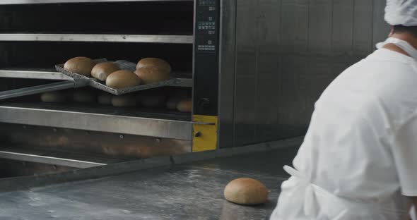 Bakery Industry Baking Bread Taking Off From the