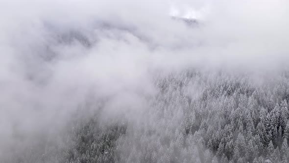 Flying over snow covered forest in Oregon