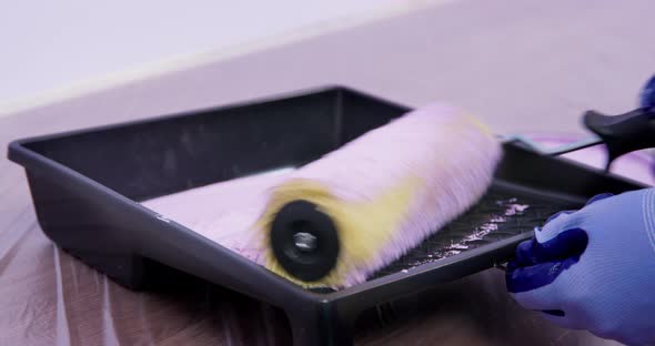 Person in Working Rubber Gloves Dips a Roller in Paint and Rolls It in Cuvette to Remove Excess