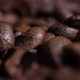 coffee beans - VideoHive Item for Sale