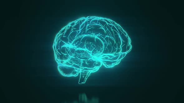 Brain Hologram Visualization Looped Animation
