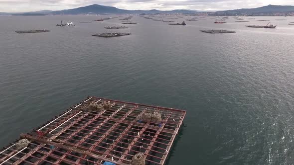 Aerial Flying Over aquaculture