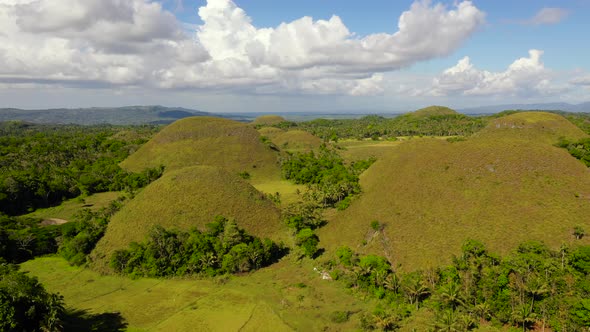 Chocolate Hills