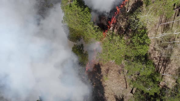 Epic Aerial View of Smoking Wild Fire, Large Smoke Clouds and Fire Spread, Amazon