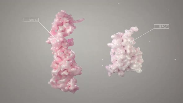 3D Medical Animation of Breast cancer genes