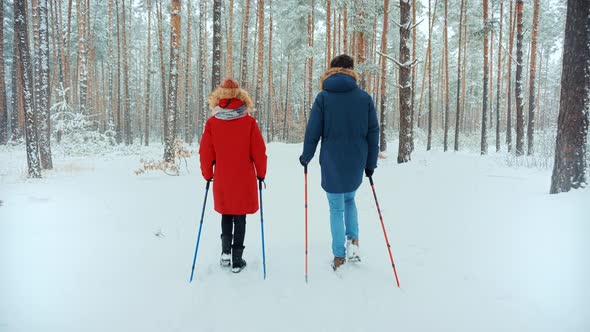 Hiker Practicing Nordic Walking In Forest. Sticks Walking On Winter Forest. Hiker Hiking Sport.