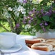 Breakfast in the Spring Garden on a Table with a White Tablecloth Served for a Tea Party - VideoHive Item for Sale