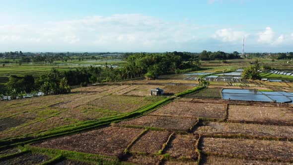 Fly above rice terrace in Bali Indonesia