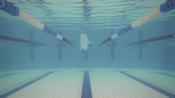 Young Professional Female Swimmer Jumping Into the Water and Swims in the Pool Woman Training in the