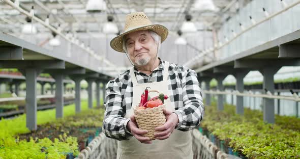 Satisfied Mature Caucasian Man in Straw Hat Smiling and Stretching Basket with Vegetables To Camera