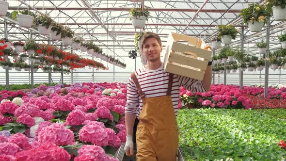 Young Man Holding Empty Box in a Greenhouse