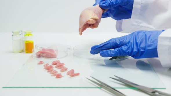 Medical Scientist Specialist in Medical Uniform Examining the Chicken Drumstick Food Research in