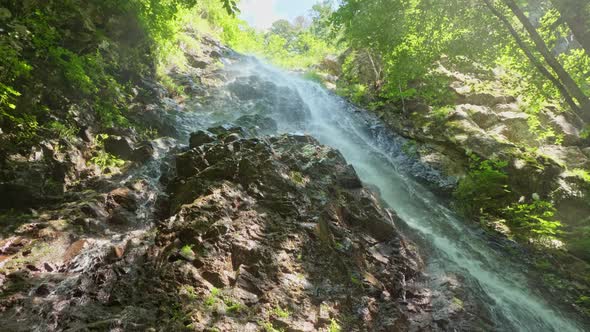 Beautiful Waterfall in a Mysterious Summer Forest