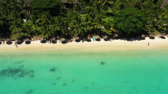 Beach along the waterfront and coral reef and palm trees, Mauritius, Africa, Pier near the beach of