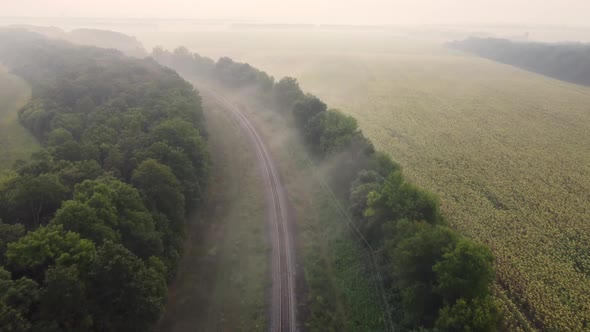 Railway in the Fog