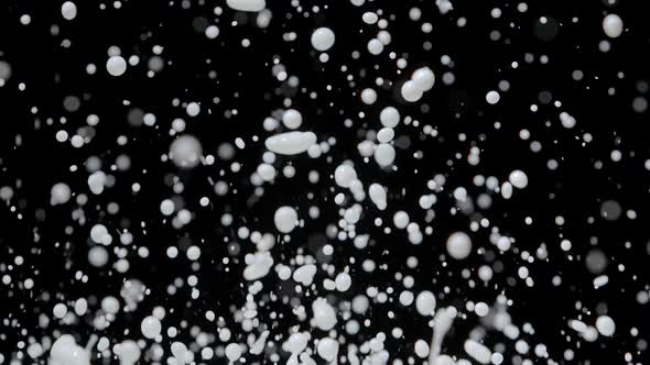 White Drops of Milk Fly Up and Spray in Different Directions on Black Background