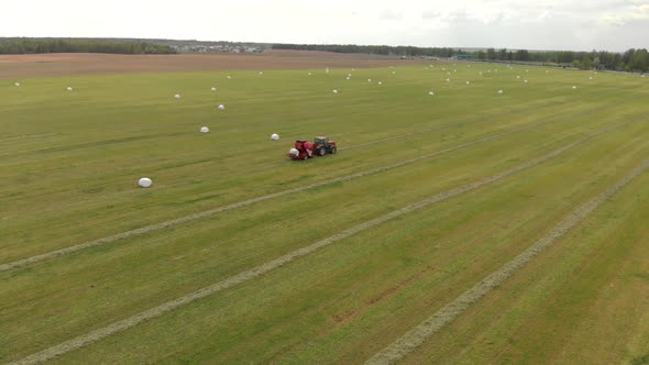 Top View of a Large Green Field with White Bales, Where a Machine for Harvesting Pressed Hay Is