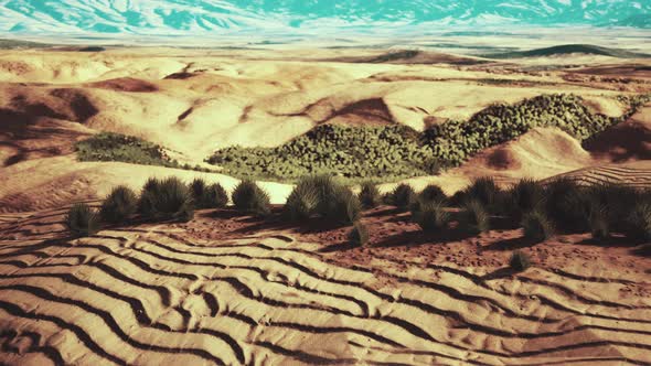 Desert Landscape in Crater National Park