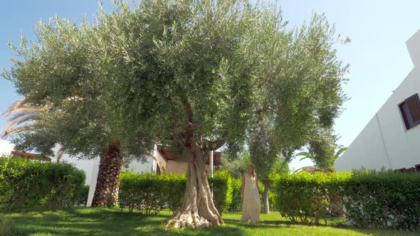 Woman picking up olives from tree in the garden