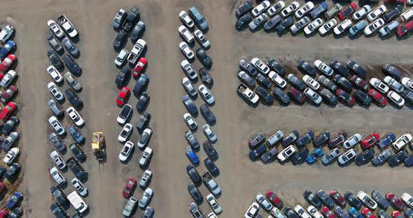 Auction Lot on Car Distributed in Used Cars Terminal Parked