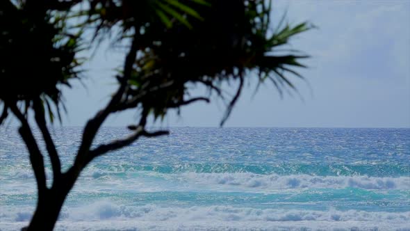 Tropical Ocean Waves with Palm Tree Silhouette