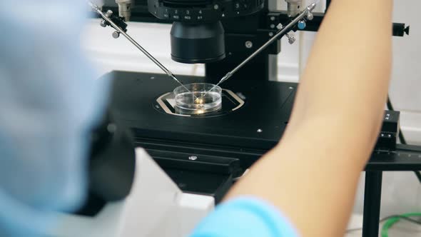 Microscope Is Being Regulated During Research. IVF, in Vitro Fertilisation Process Held in Lab.