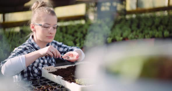 Botanist Putting Plant Sample on Petri Dish at Greenhouse.