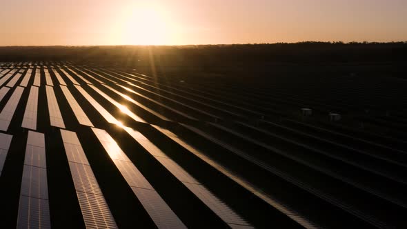 Solar farm at sunrise