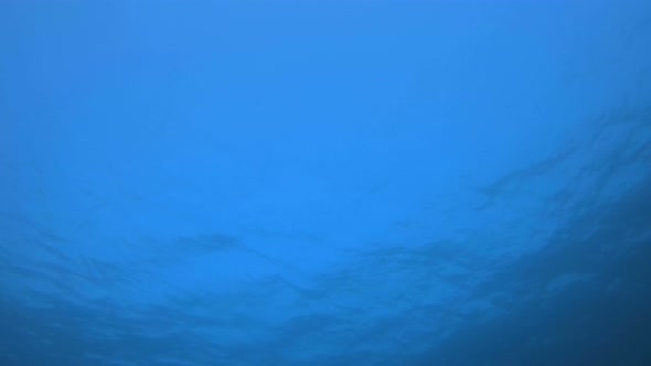 Underwater Blue Background