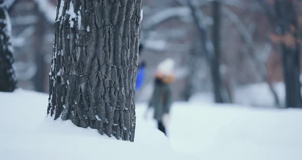 Beautiful Woman with Children is Walking Through the Winter Forest